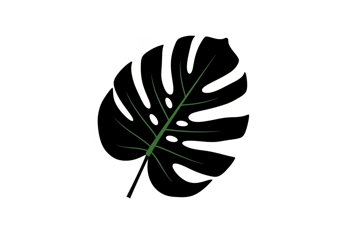 Monstera Leaf Silhouette Bundle, an Illustration by yasushie (Photo 14 of 31)