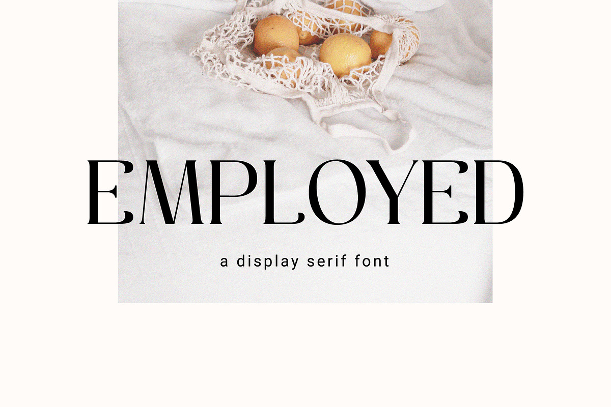 Employed - A Display Serif Font, a Serif Font by Prioritype Co (Photo 1 of 11)