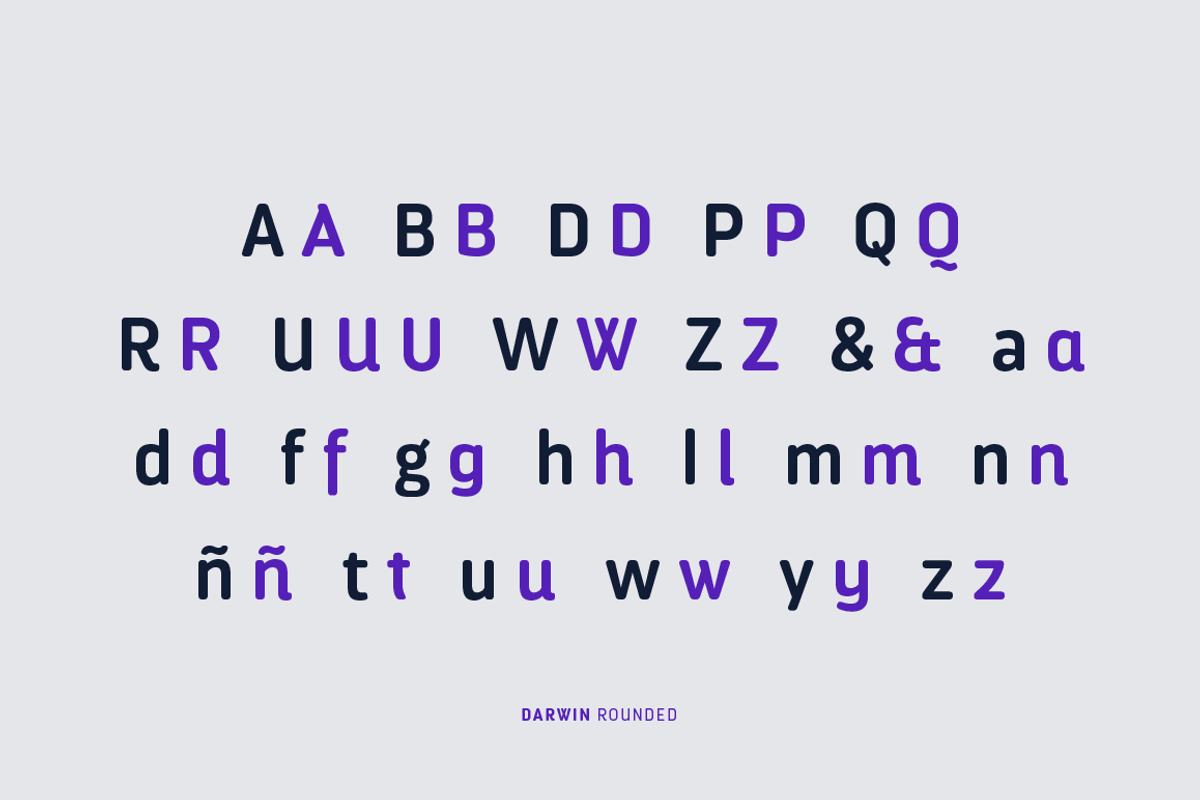 Darwin Rounded - Family 50% off preview 6