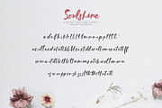 Soulshine Brush Script, a Font by Callie Rian & Co. (Thumbnail 12 of 15)