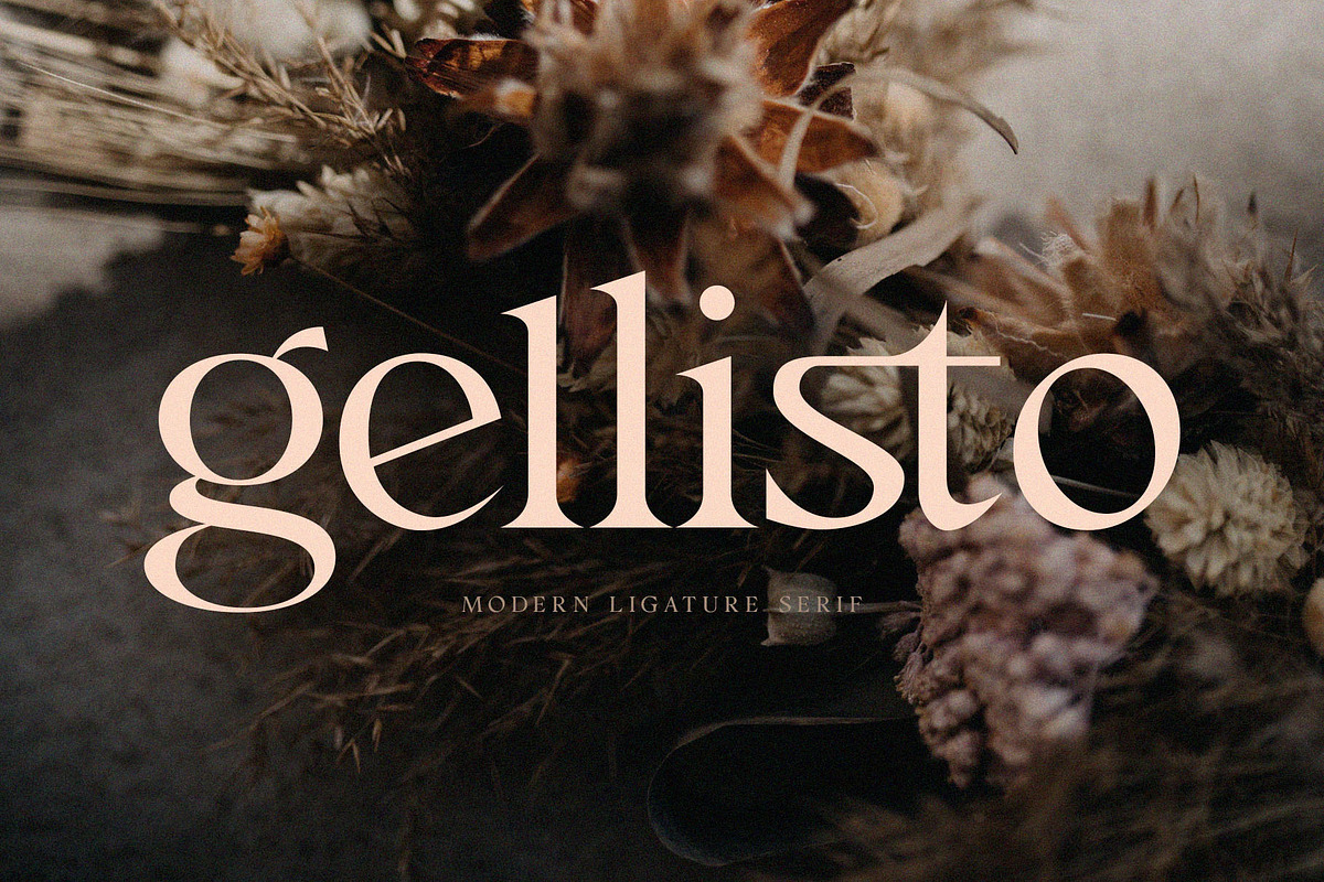Gellisto Modern Ligature Serif, a Serif Font by Font Kingdom (Photo 1 of 5)