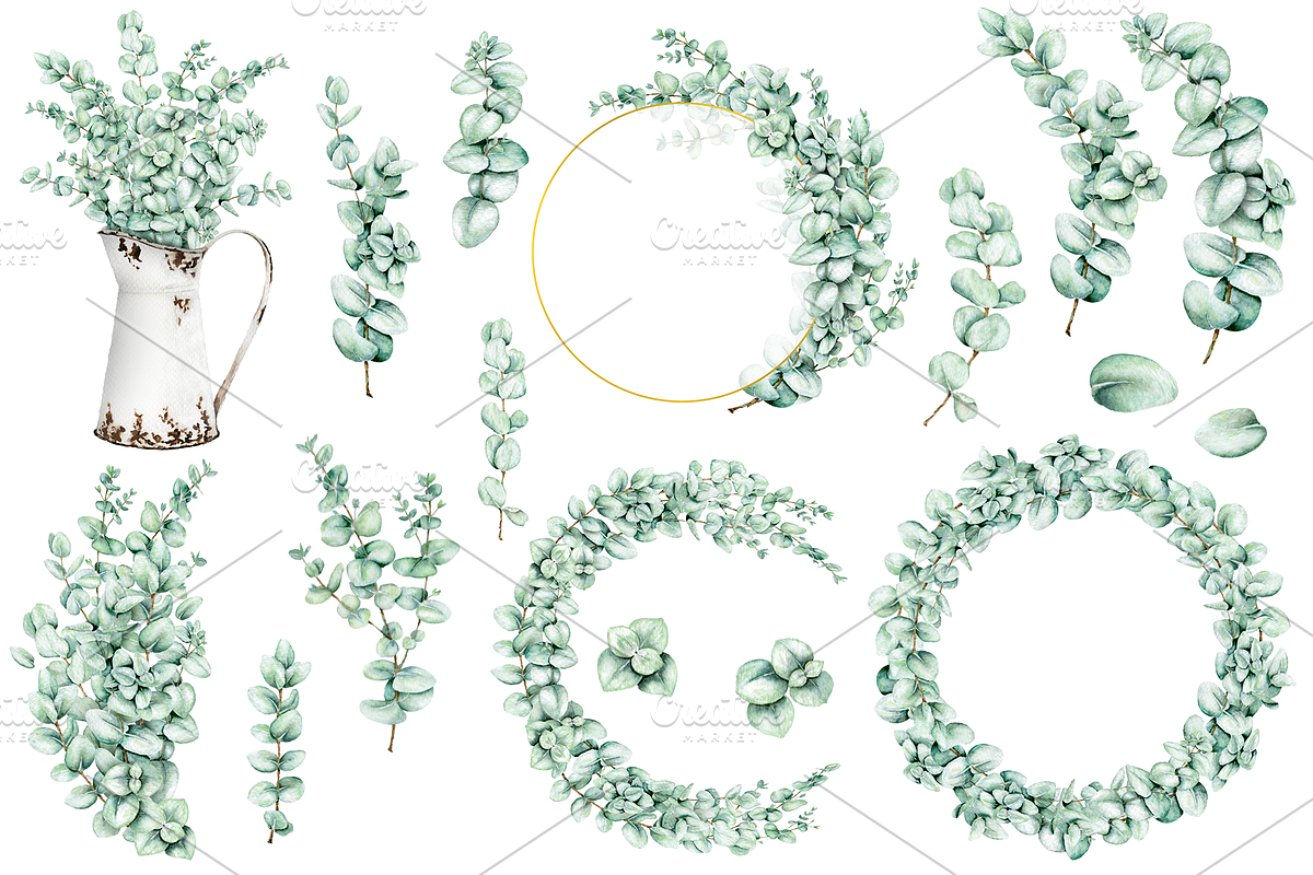Eucalyptus Watercolor Illustrations, a Decorative Illustration by DioFlow (Photo 3 of 11)