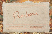 Pealune Script Font, a Script Font by Berdansabersama (Thumbnail 1 of 8)