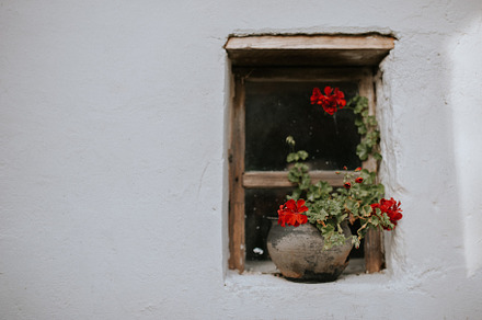 Detail of old window