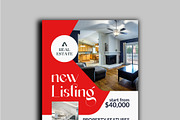 Real Estate House Flyers, a Flyer Template by RAHMAT (Thumbnail 3 of 3)