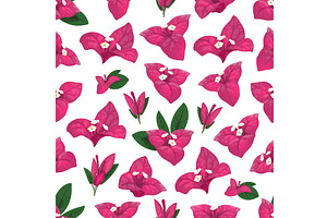 Bougainvillea Flowers Pattern