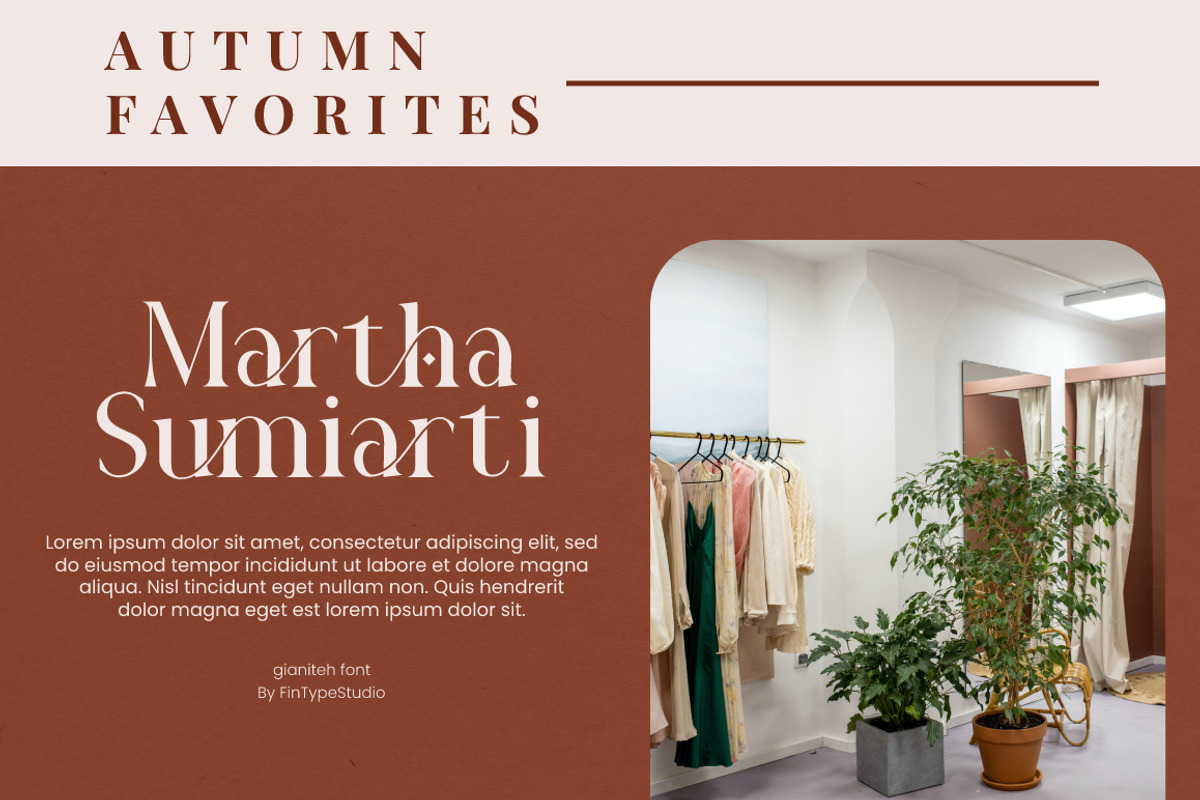 Gianiteh Display Modern Serif, a Serif Font by KennedyStudio (Photo 3 of 19)