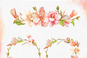 Watercolor Coral Magnolia