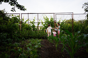 Children playing in a lush garden during a warm summer evening, a Person Photo by AS photostudio