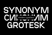 SK Synonym Grotesk — Modern Typeface, a Font by Shriftovik Type Foundry (Thumbnail 2 of 15)