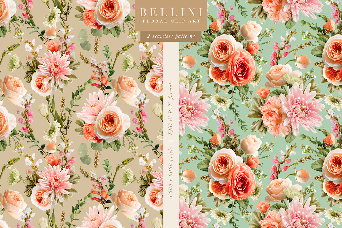Bellini Floral Clip Art Collection, an Object Graphic by Eclectic Anthology (Photo 8 of 17)