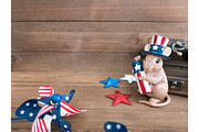 4th of July Stock Images Bundle, a Social Media Template by Sweet Rain Studios (Thumbnail 6 of 8)