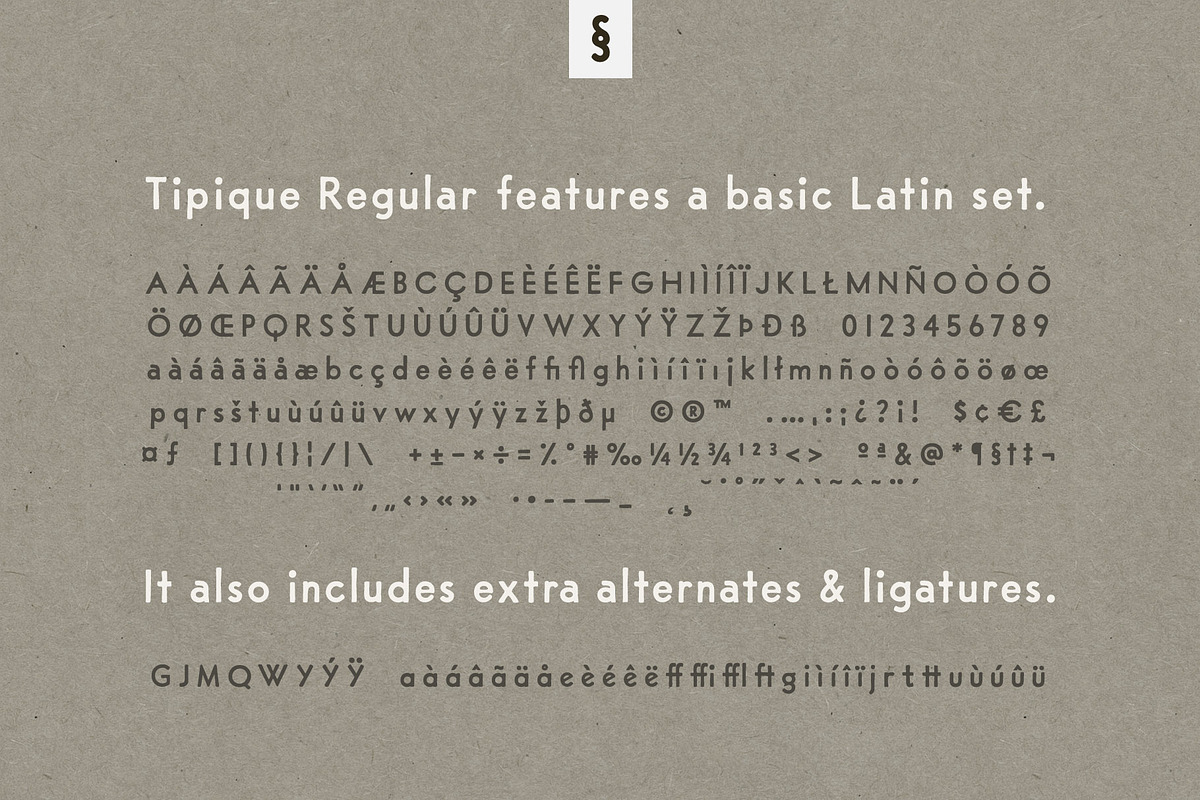 Tipique | Mid-Century Font Revival preview 3