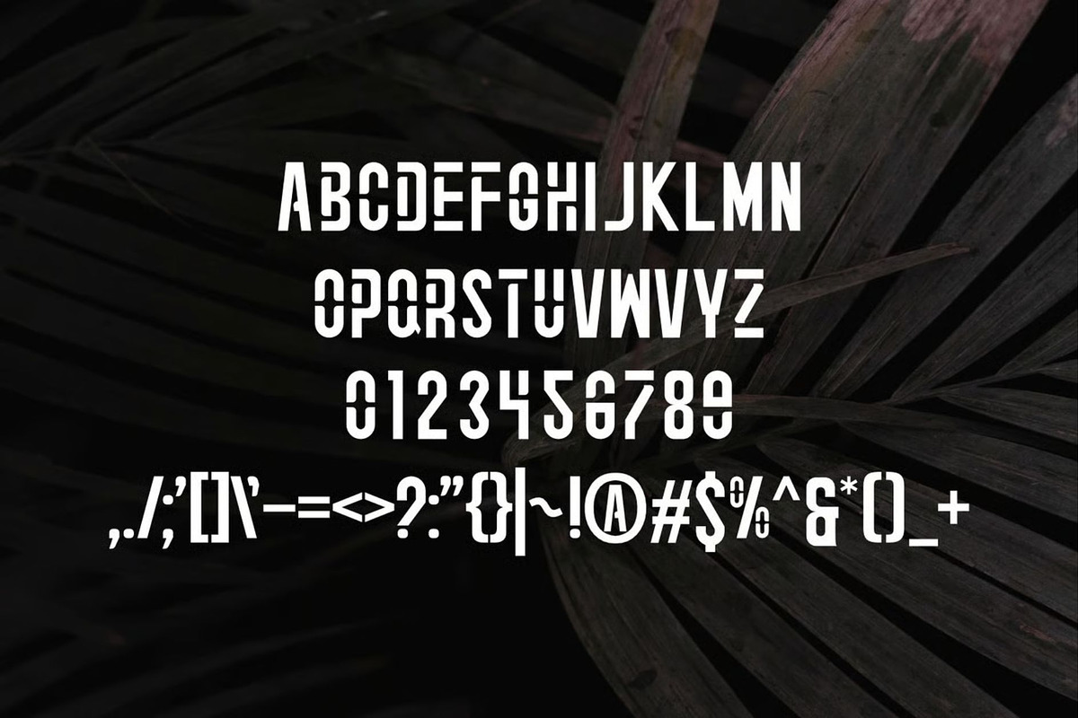 Boroedo, a Sans Serif Font by Auliacreative (Photo 3 of 4)