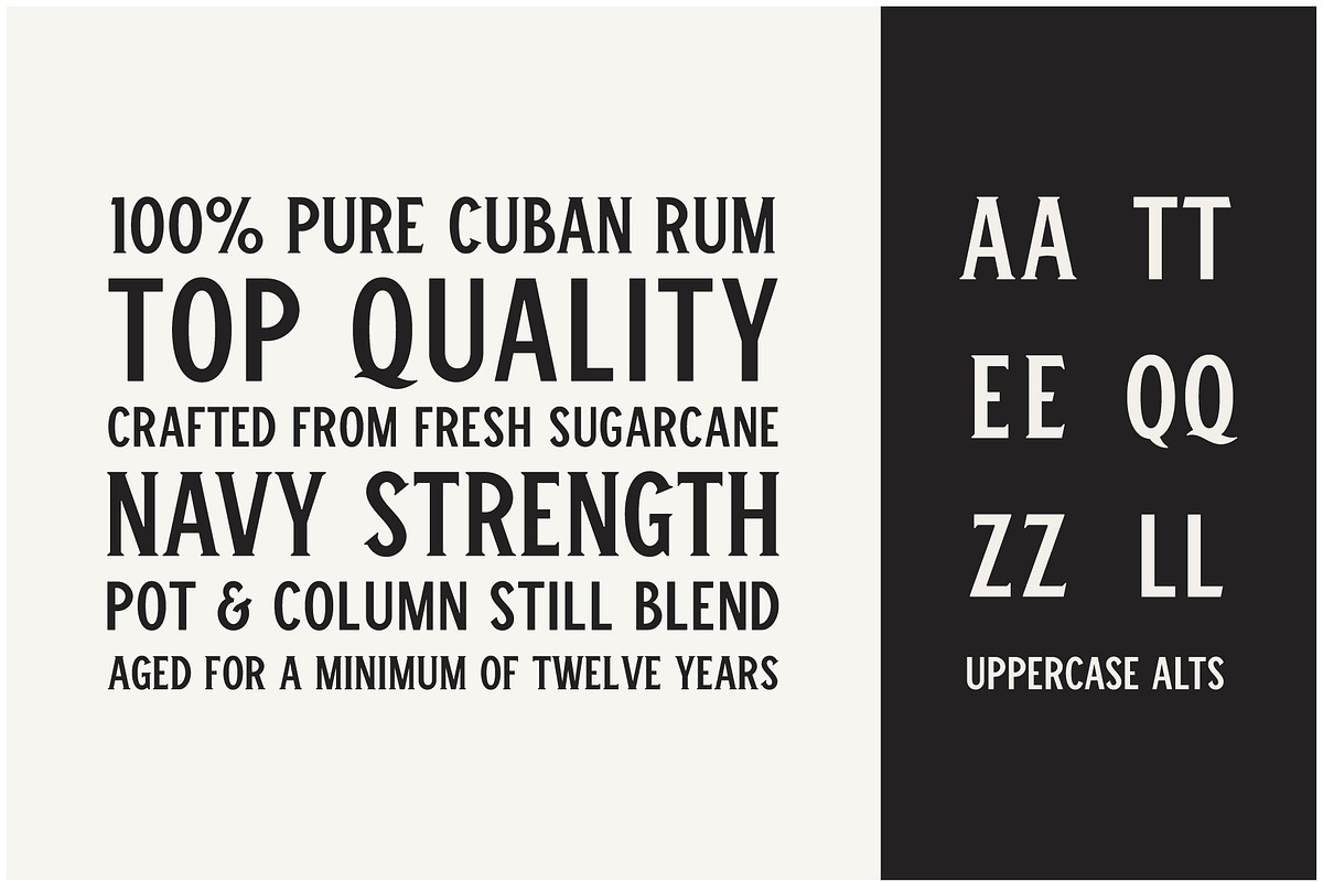Winston Typeface, a Serif Font by Bebop Font Foundry (Photo 2 of 5)