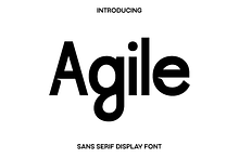 Agile - Sans Serif Display Font