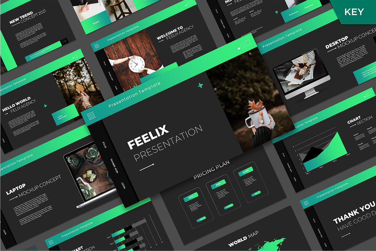 Feelix Keynote Template, a Presentation Template by GridlineType (Photo 2 of 11)