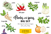 40 colored spices and herbs, a Food Illustration by Primula`s shop (Thumbnail 2 of 2)