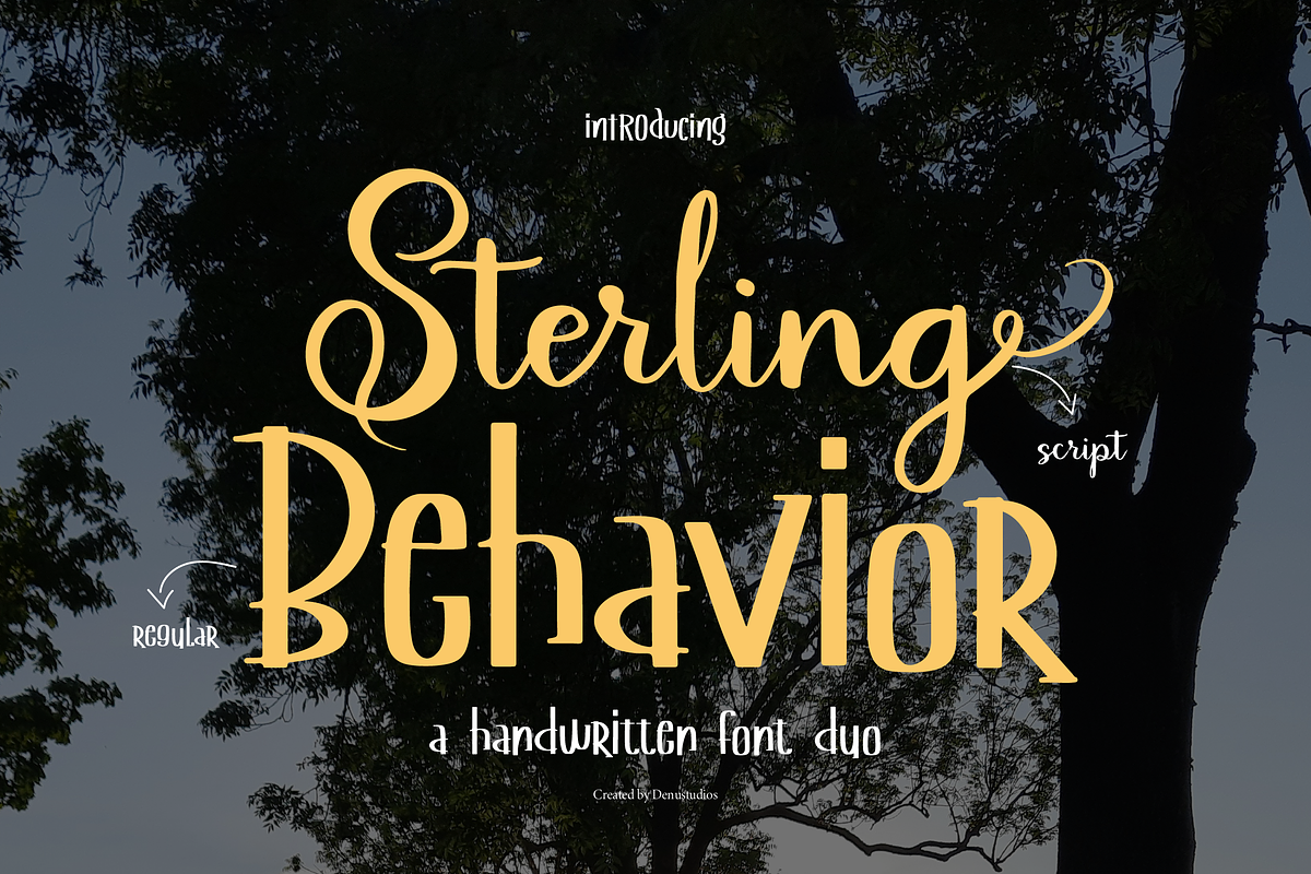 Sterling Behavior | Handwritten Duo, a Font by Denustudios (Photo 1 of 13)