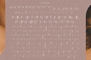 Tamylors Landry Stylish Calligraphy, a Script Font by stylishtype.co (Thumbnail 17 of 20)