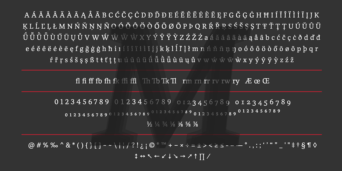 Monark, a Serif Font by YXType (Photo 10 of 10)