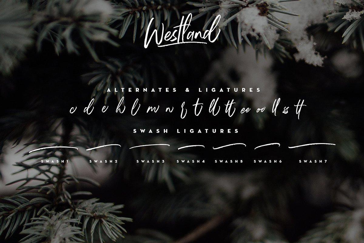 Westland Handstylish Font preview 7
