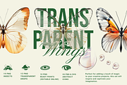 Transparent Wings Contemporary Art, an Object Graphic by Red Ink (Thumbnail 1 of 8)