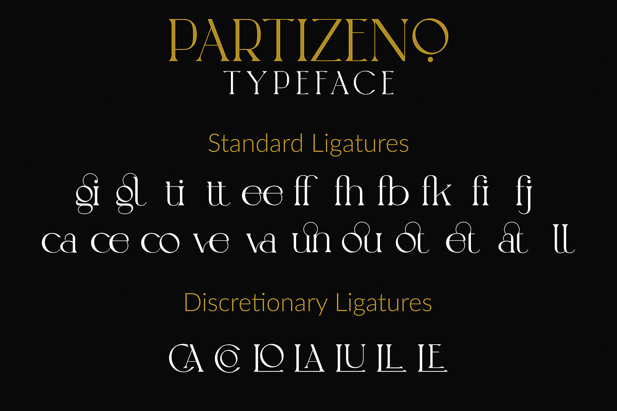 Partizeno Elegant/Branding Font, a Sans Serif Font by GraphicDash (Photo 9 of 10)