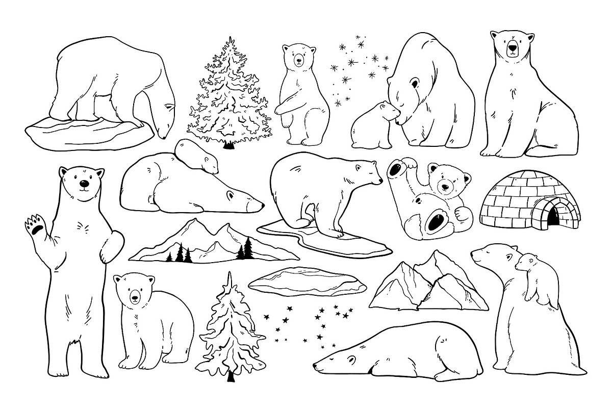 Polar Arctic Bear Clipart PNG SVG, an Animal Illustration by ArtGiftsStudio (Photo 3 of 5)