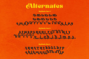 Rollik Typeface, a Serif Font by alit design (Thumbnail 9 of 17)