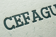 Cefagu | Modern Luxury Serif, a Serif Font by Astuti Studio (Thumbnail 22 of 25)