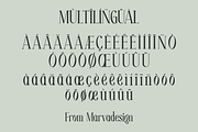 Moelina - A Modern Serif Font, a Serif Font by Marvadesign (Thumbnail 6 of 8)