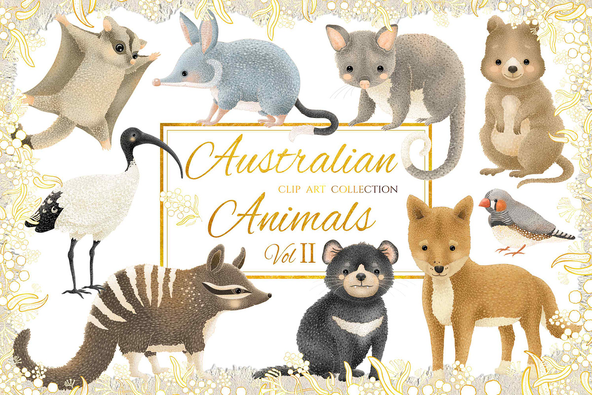 Australian Animals Vol II, an Animal Illustration by Jen Digital Art (Photo 1 of 8)