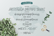 Sisterfields Script - 35% OFF, a Script Font by giemons™ (Thumbnail 2 of 6)