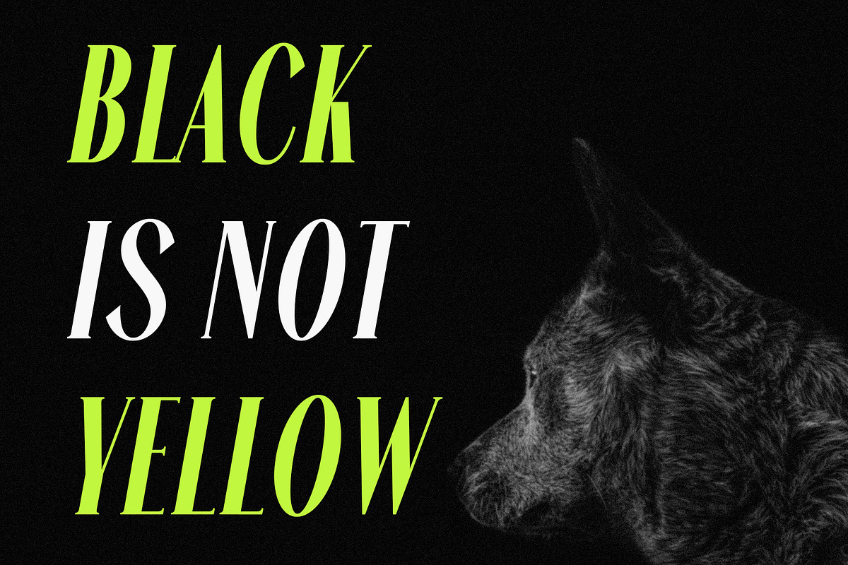 Alterosa - Italic serif font, a Serif Font by Almeera Std (Photo 2 of 6)