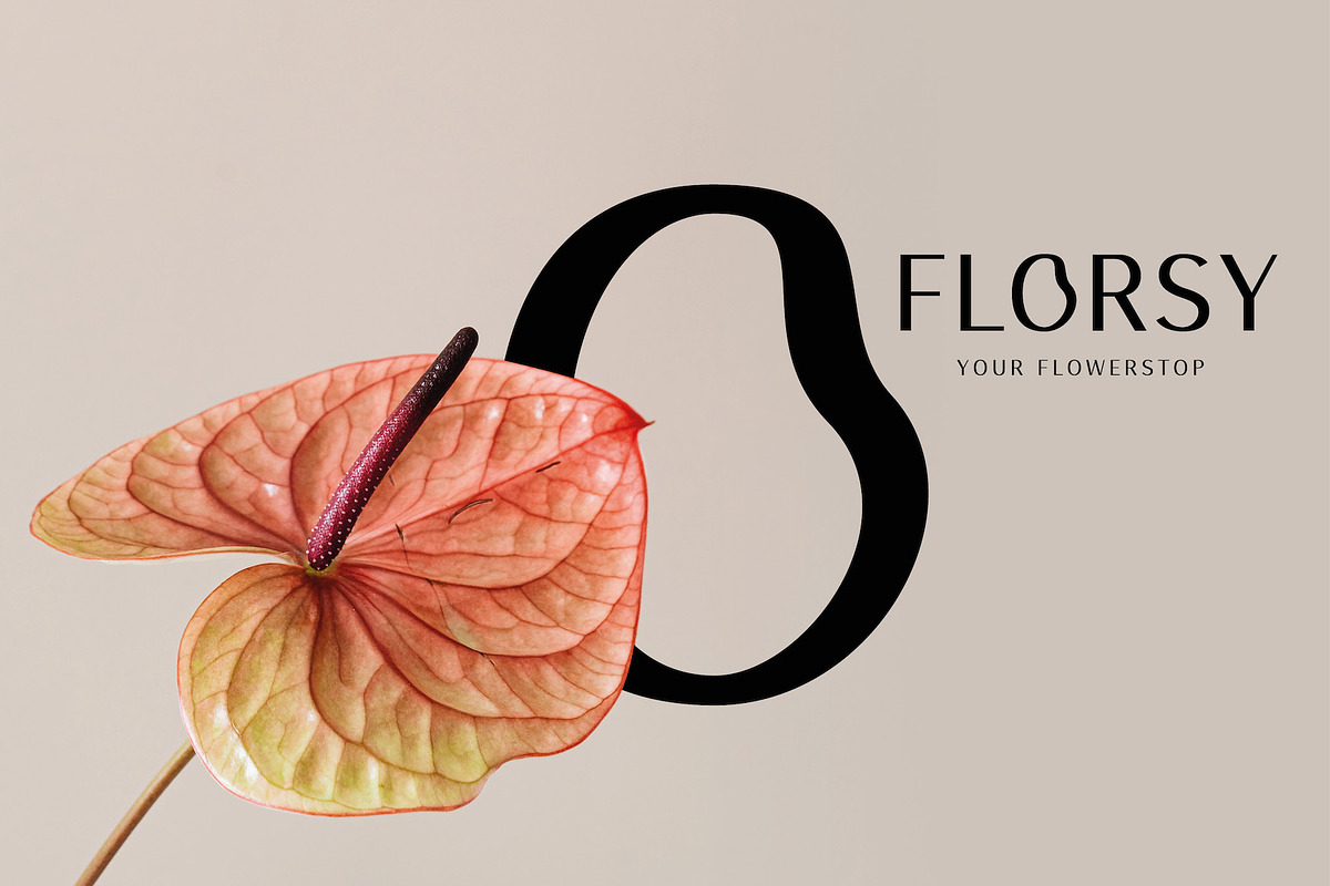 Olga Sans – Chic, Unique, Modern, a Sans Serif Font by Local Desk Designstudio (Photo 4 of 16)
