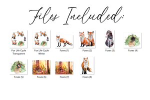 Fox Life Cycle And Clip Arts