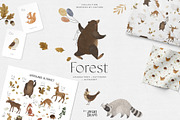 Forest animals. Alphabet & Patterns, an Animal Illustration by annartdreams (Thumbnail 1 of 11)