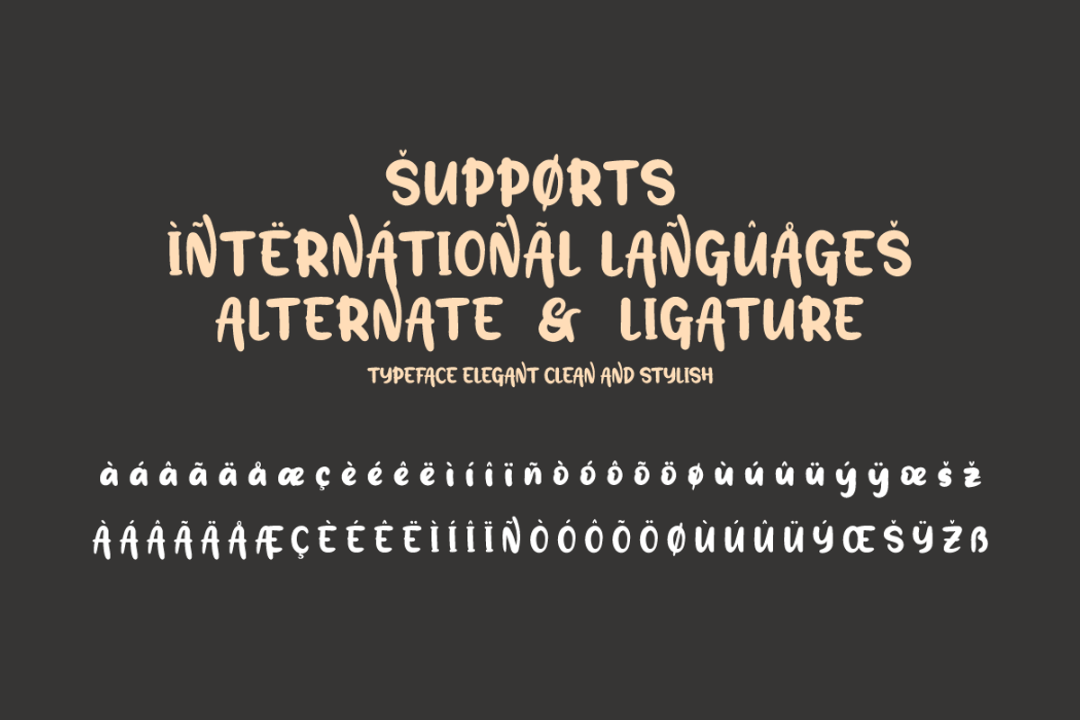 Outedis, a Sans Serif Font by twinstd (Photo 10 of 12)