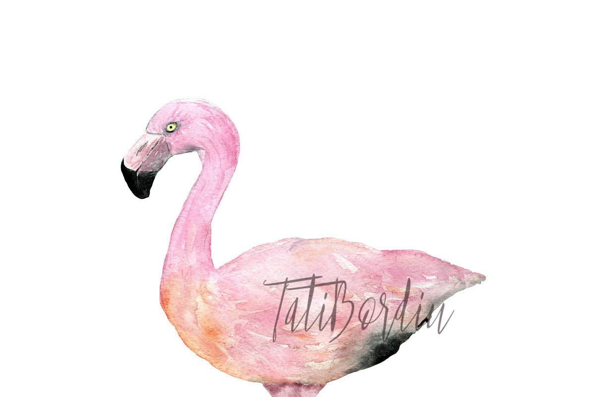 Watercolor Flamingoes Clip Art+Print, an Object Graphic by Tati Bordiu (Photo 3 of 4)