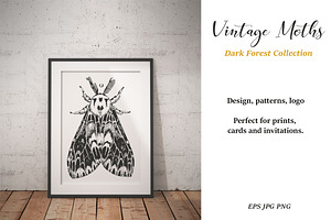 Vintage Moths Dark Forest Collection