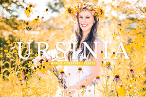 Ursinia Pro Lightroom Presets