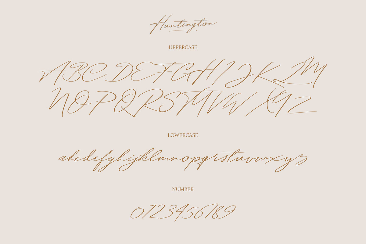 Huntington Signature Script, a Script Font by Analogous (Photo 11 of 13)