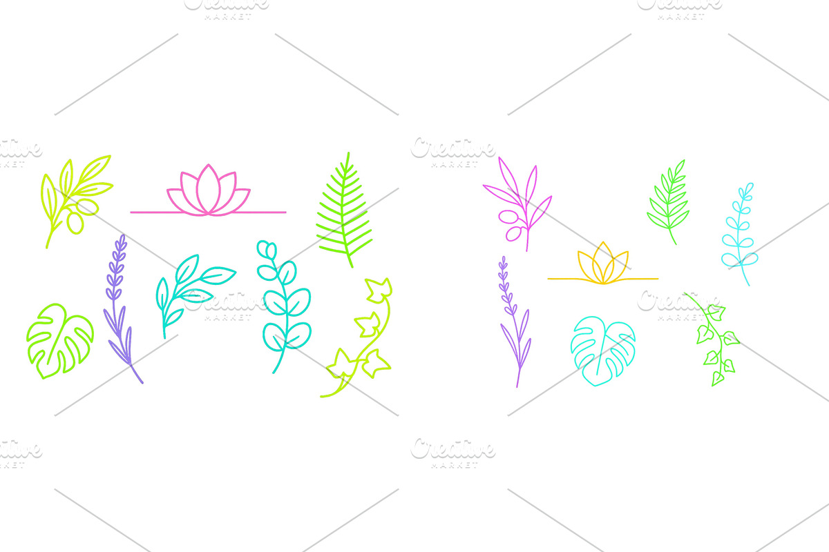 Botanical line art showcasing, an Illustration by ZinetroN
