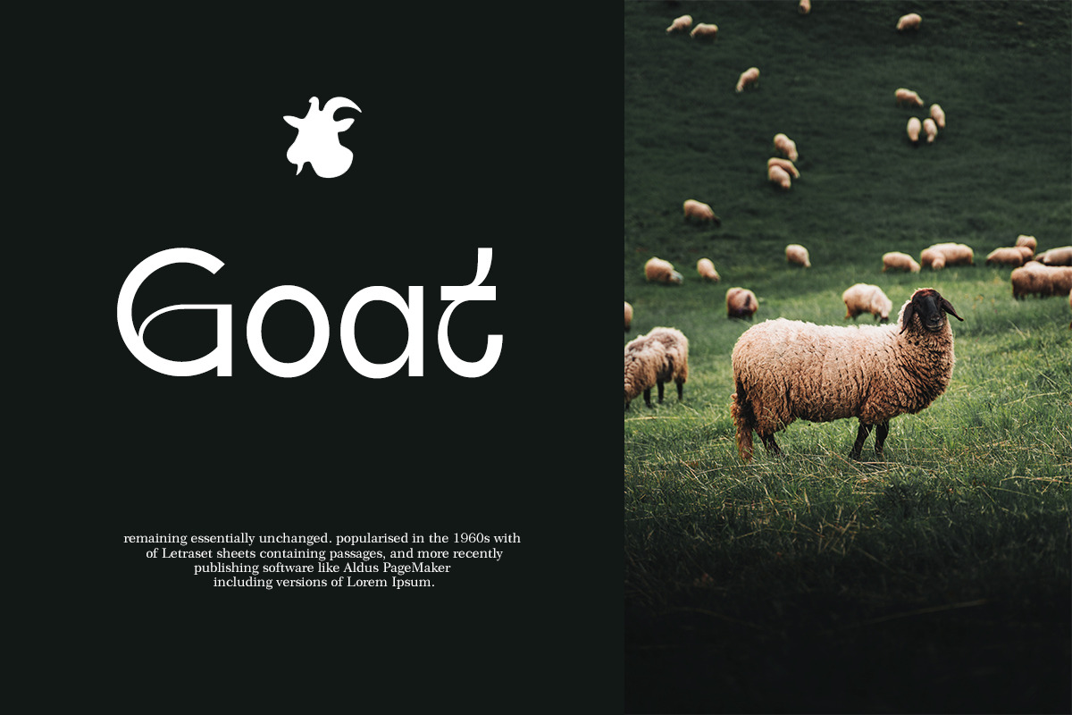 Qalifah | Modern Sans Serif, a Sans Serif Font by Muntab_Art (Photo 5 of 10)