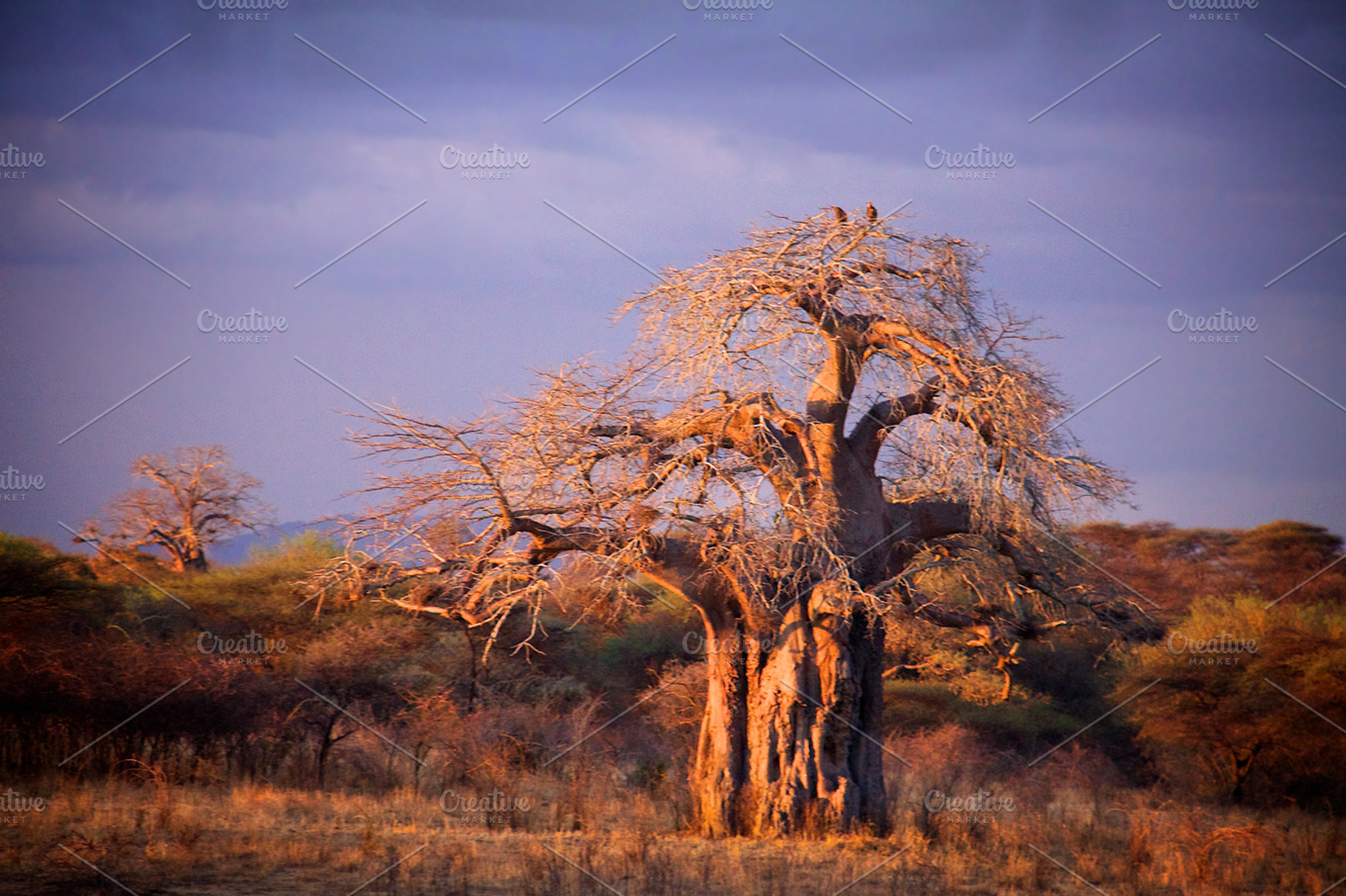 Sunset Glow Stock Photograph