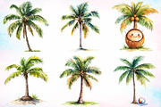 Watercolor Coconut Tree Clipart PNG, an Illustration by Canvas Craft (Thumbnail 3 of 4)