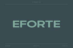 Eforte - Modern Display Typeface, a Font by Letterna