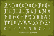 Brindley Houston Display Serif, a Serif Font by Letterhend Studio (Thumbnail 5 of 11)