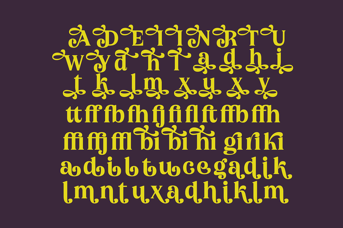 Bikers Groovy Retro Serif Font, a Serif Font by timelesstype.co (Photo 13 of 15)